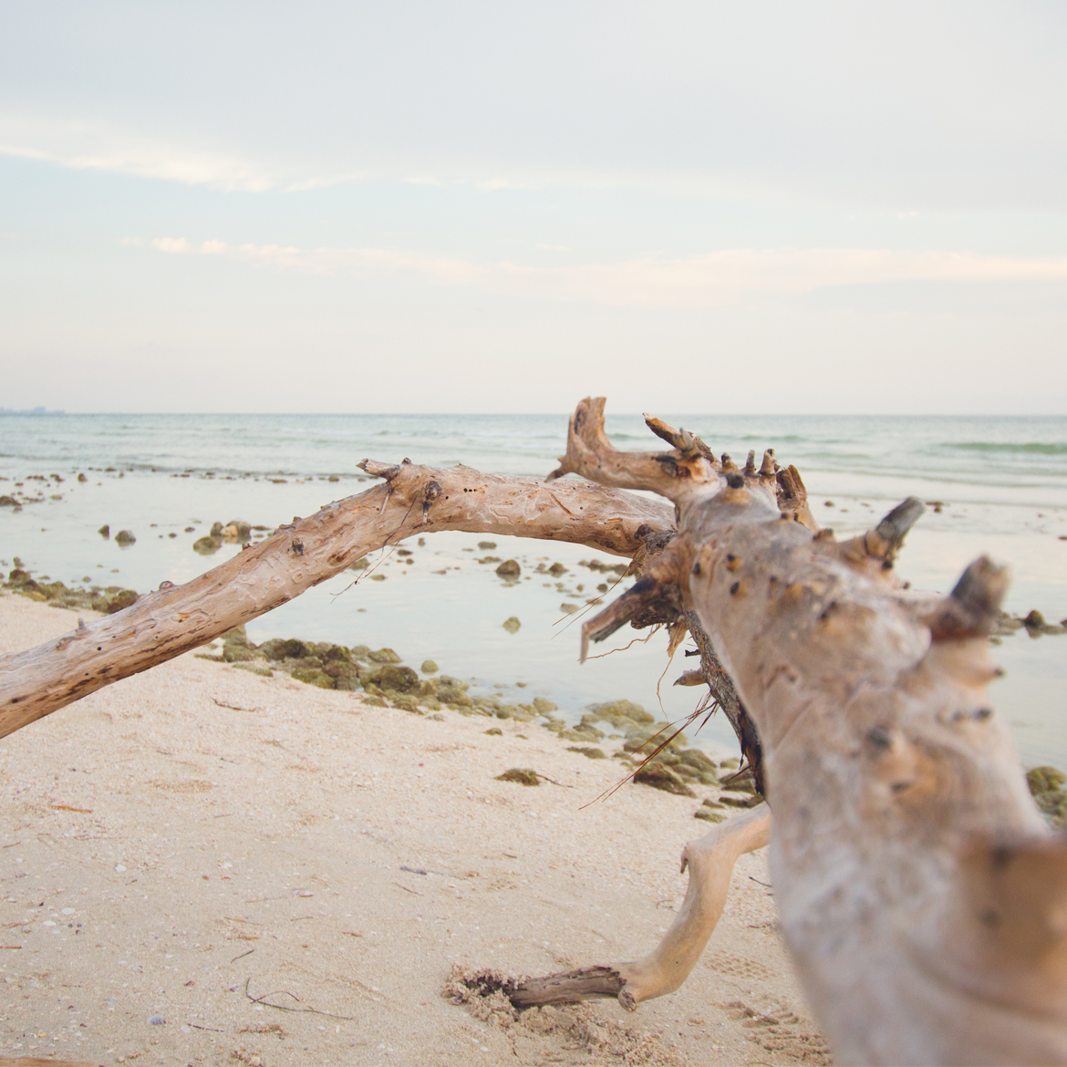 Horn-Photography-Design-Location4