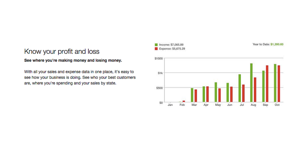 Profit & Loss Statement