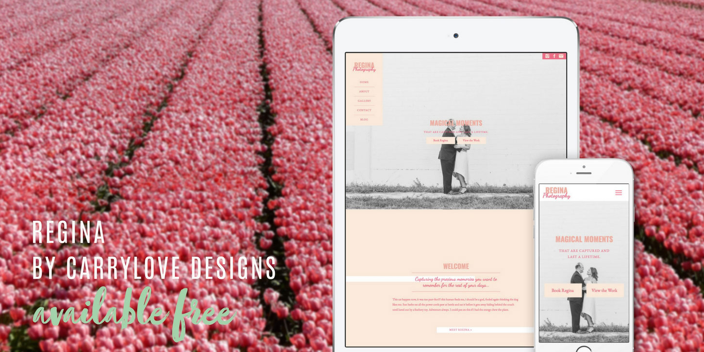 Website design blog header regina