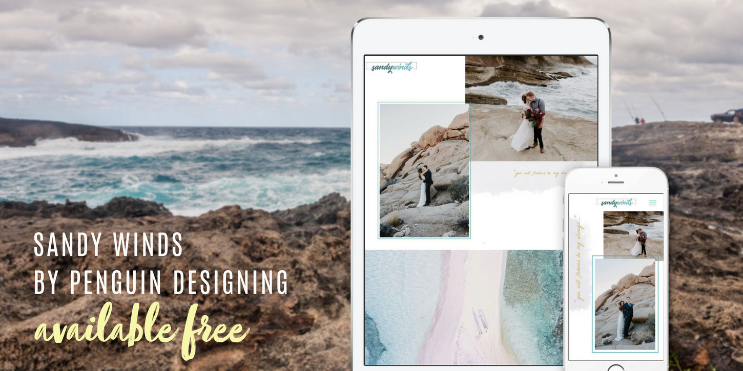 Free website design sandywinds by penguindesigning fb banner