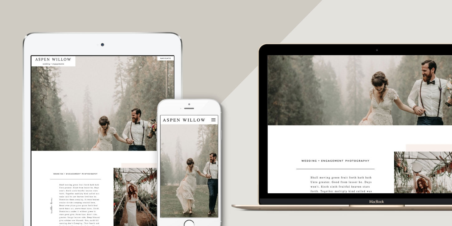 Website design blog header aspenwillow